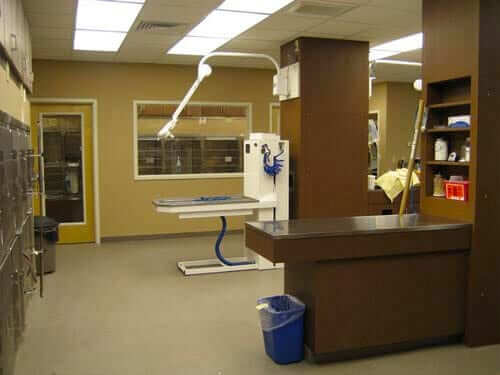 Tour our Animal Hospital in White House: Treatment area