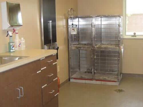 Tour our animal hospital in White House: Cages